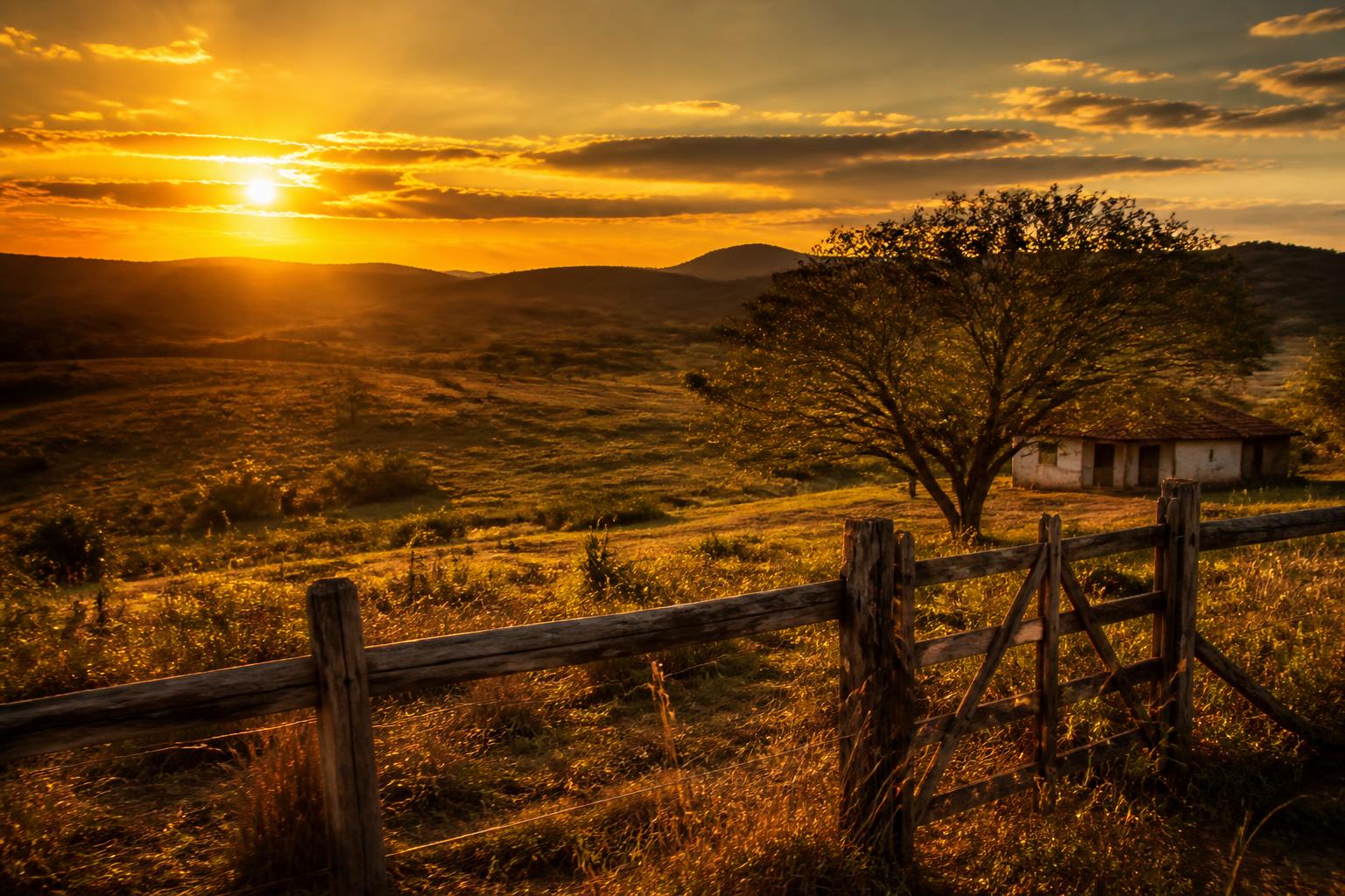 Paisagem da roça brasileira ao entardecer